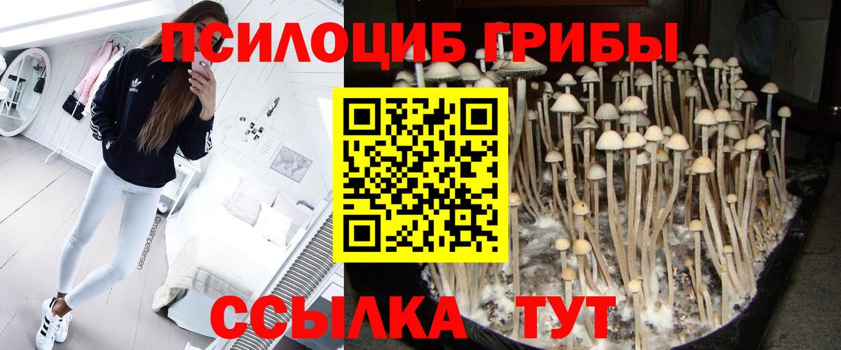 хочу наркоту  Псилоцибиновые грибы прущие грибы  Вход с VPN  Серпухов 